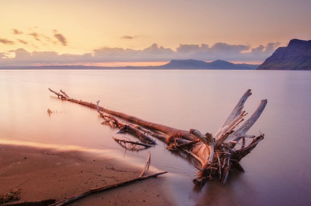 Photograph by Владимир Лякишев