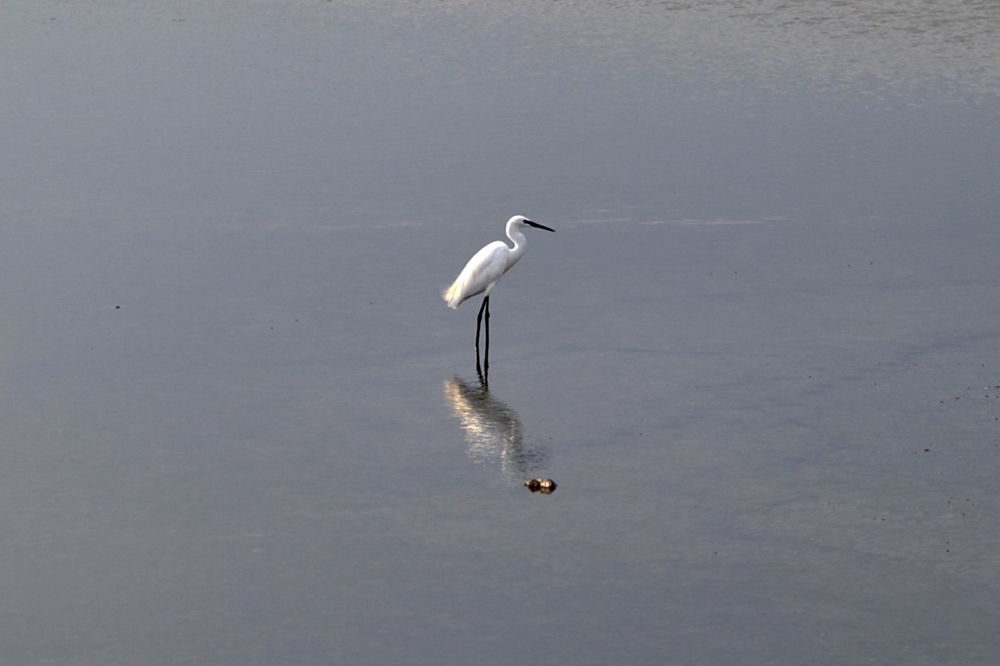 Фотография автора artnoise