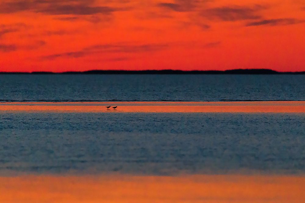 Photograph by Сергей Савви