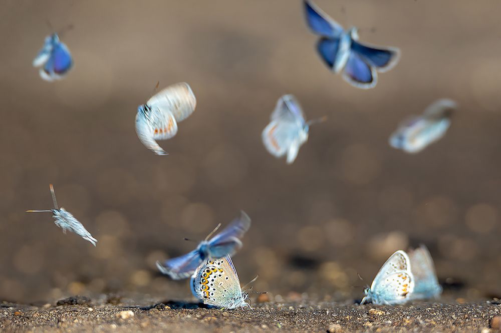 Photograph by Сергей Савви