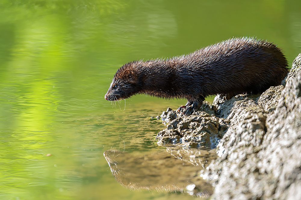 Photograph by Сергей Савви