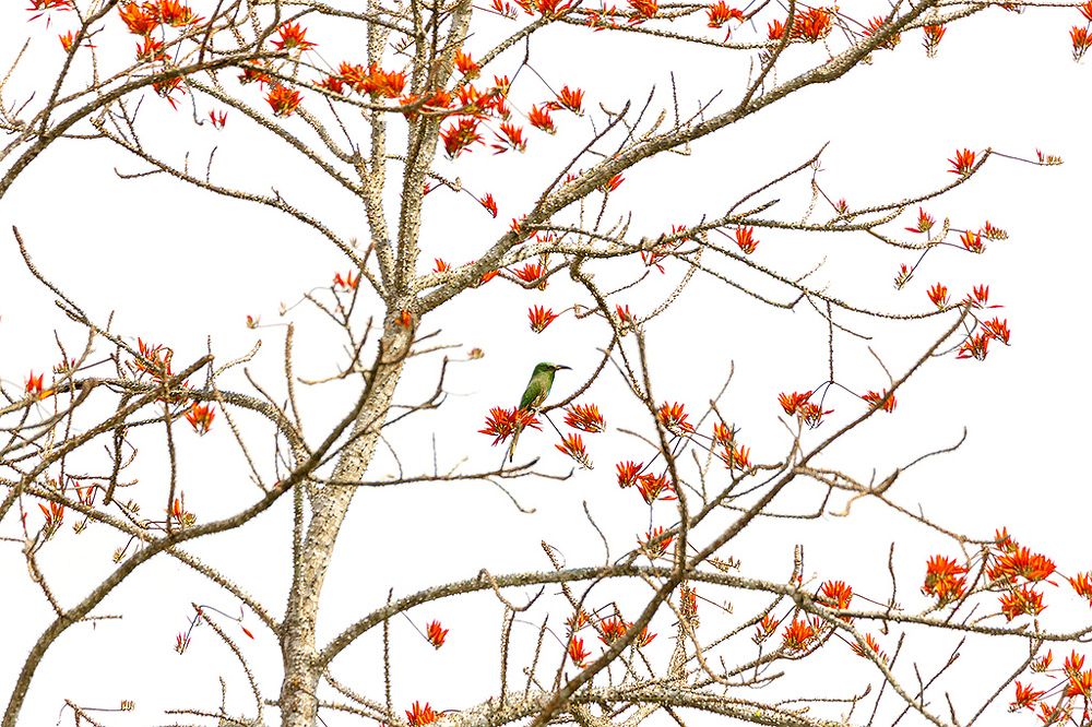 Photograph by Сергей Савви