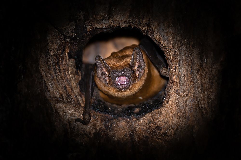 Photograph by Сергей Савви