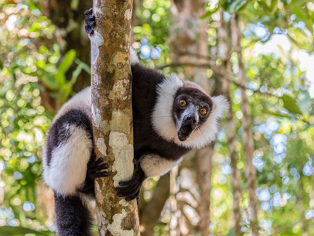 Photograph by Сергей Савви