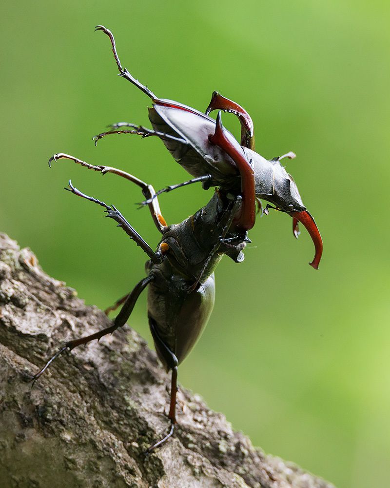 Photograph by Сергей Савви