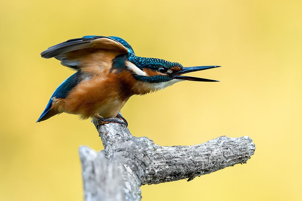 Photograph by Сергей Савви