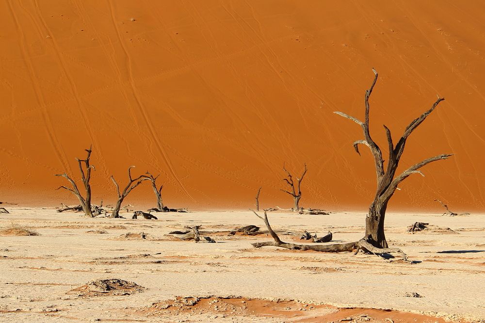 Photograph by Антон Арефьев