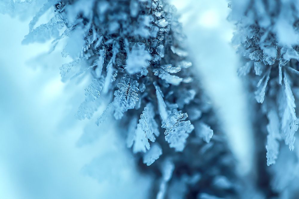 Photograph by Елена Пичугина