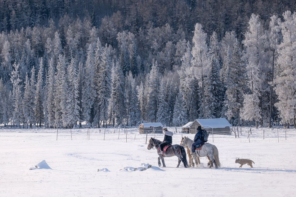 Photograph by Zhengshu Peng