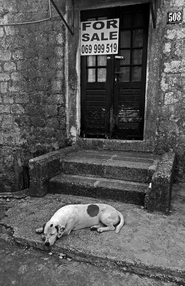 Come back, I'm waiting!