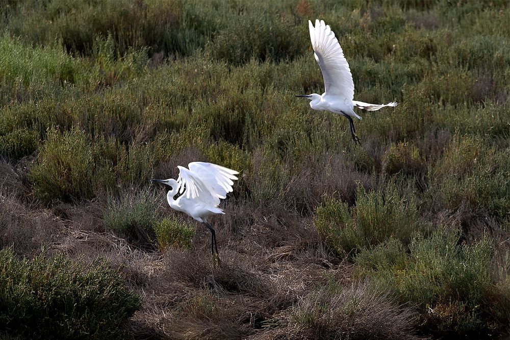 Фотография автора artnoise