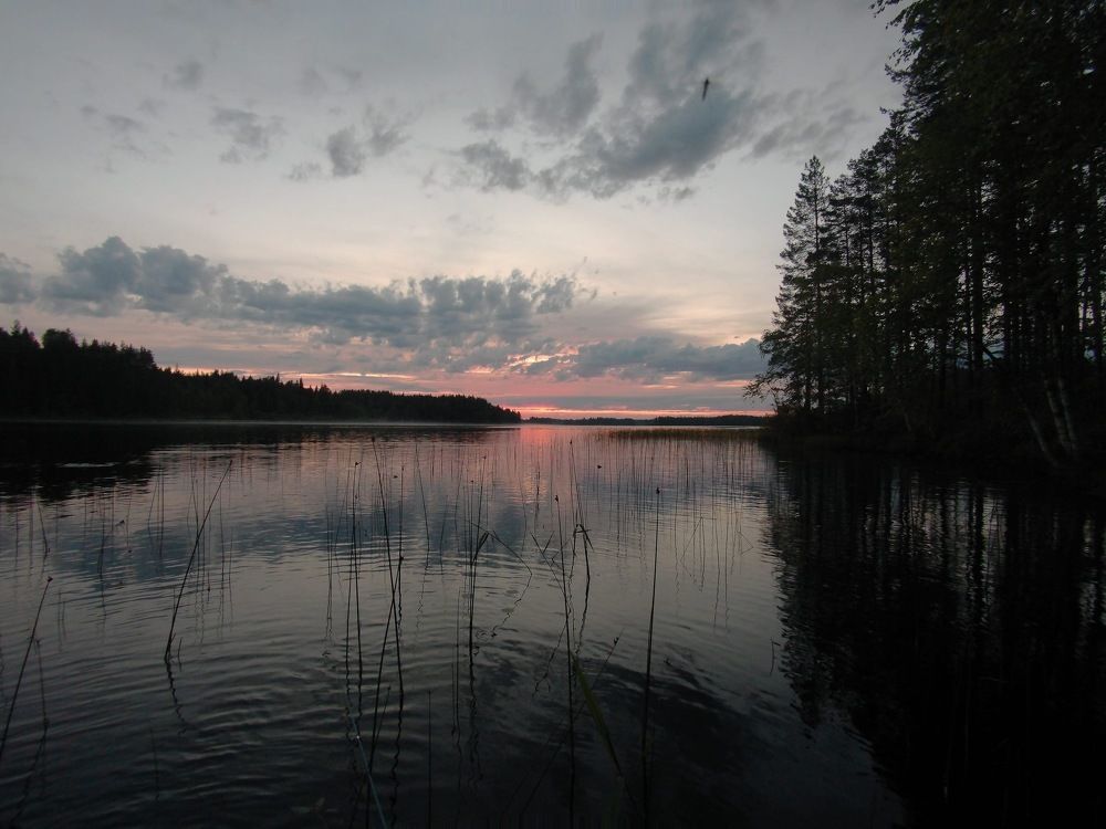 Photograph by Александр Зуев