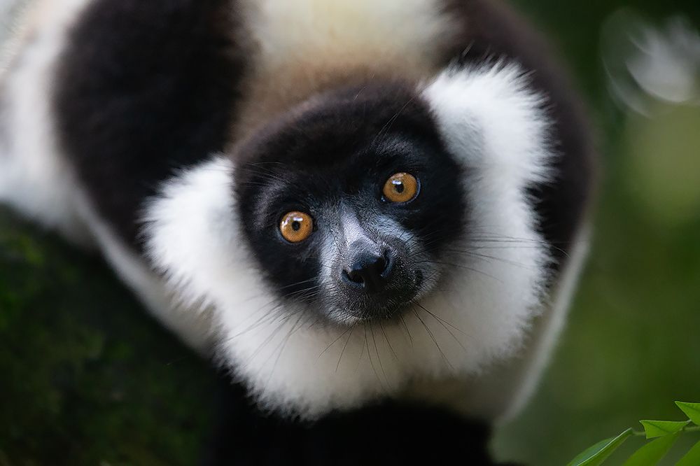 Photograph by Сергей Савви