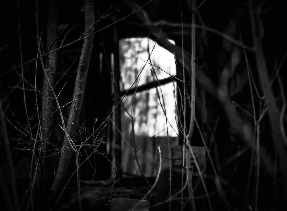 Photograph by Кристина Вингре