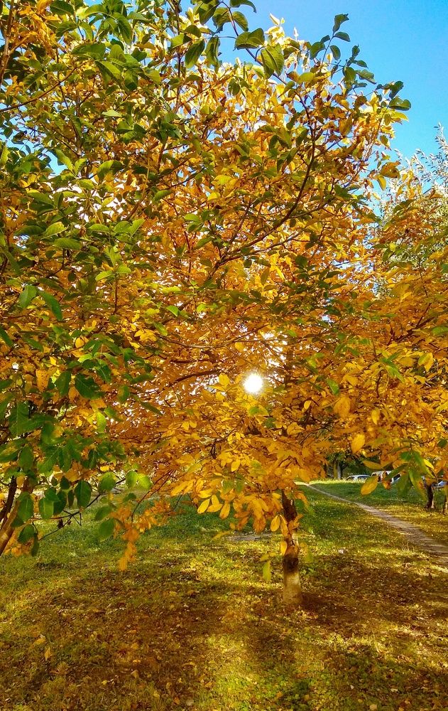 Photograph by Олександр