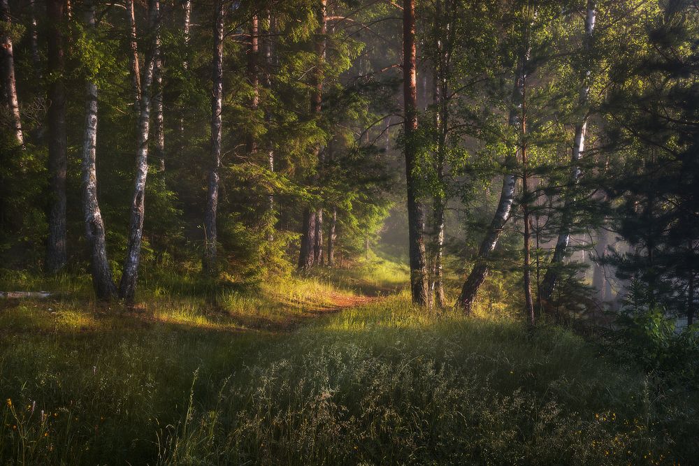 По тропинке к речке