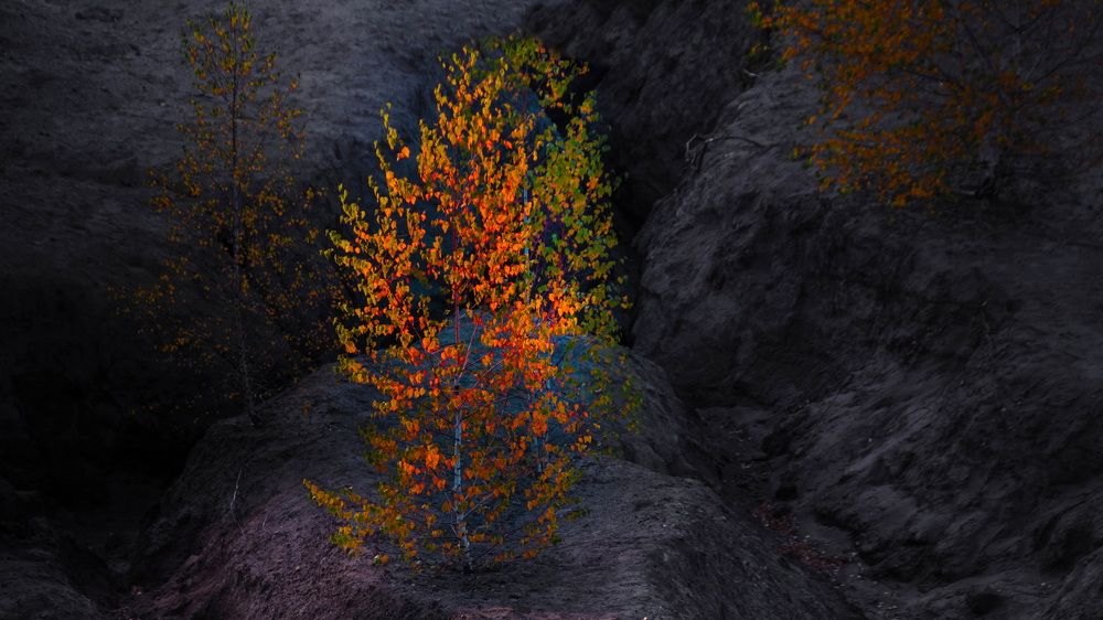 Фотография автора Александр Лукин