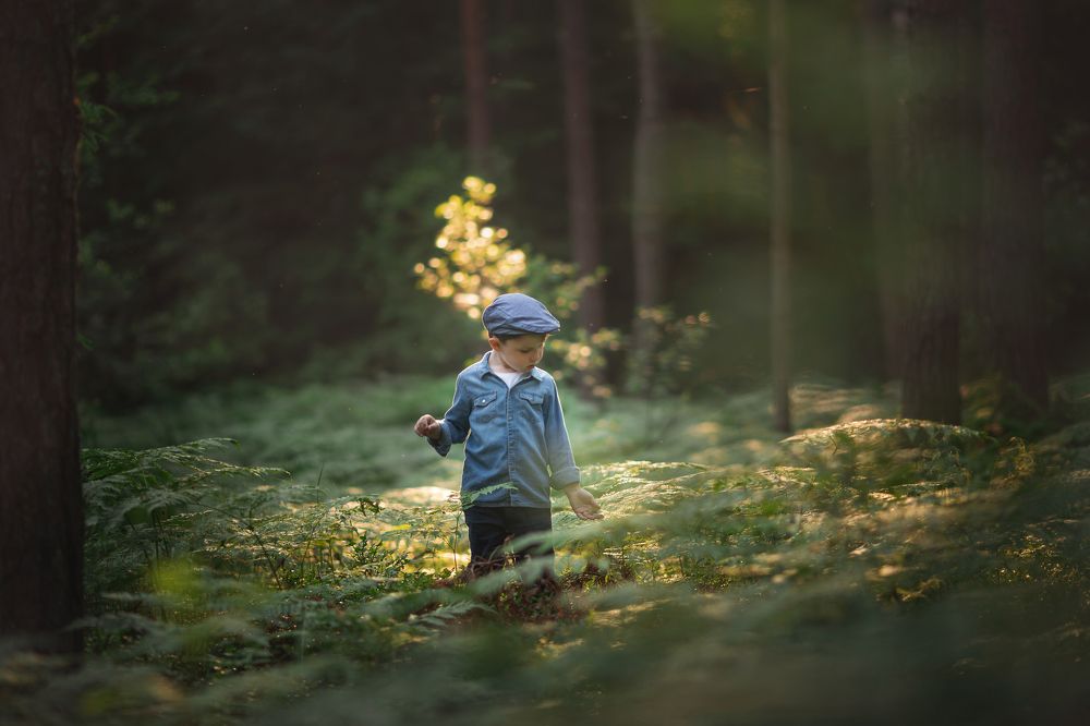 Photograph by Новицкая Татьяна