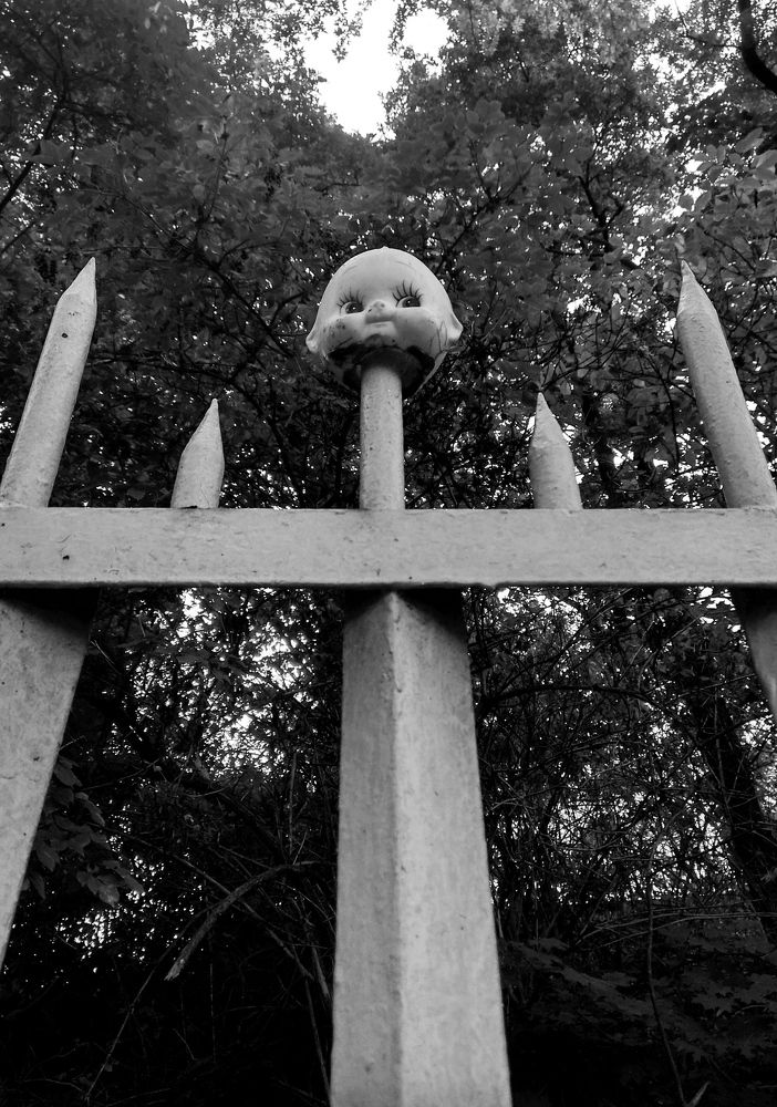 Photograph by Олександр