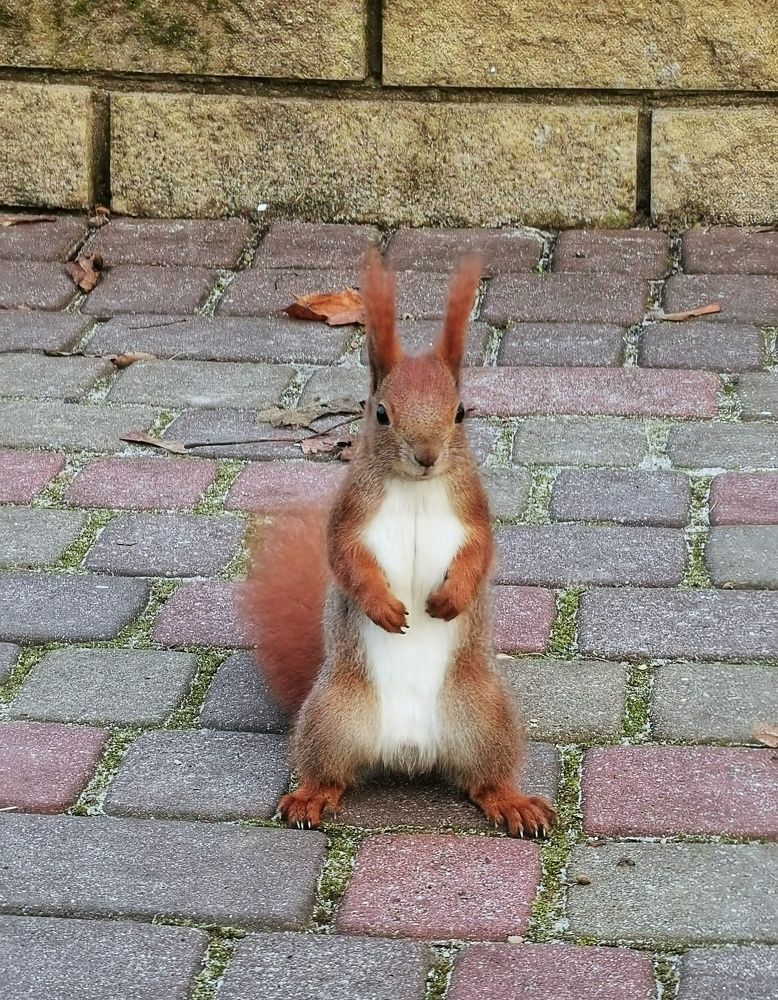 Photograph by Андрей Тур