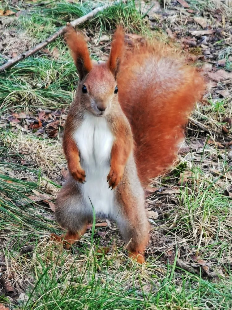 Photograph by Андрей Тур