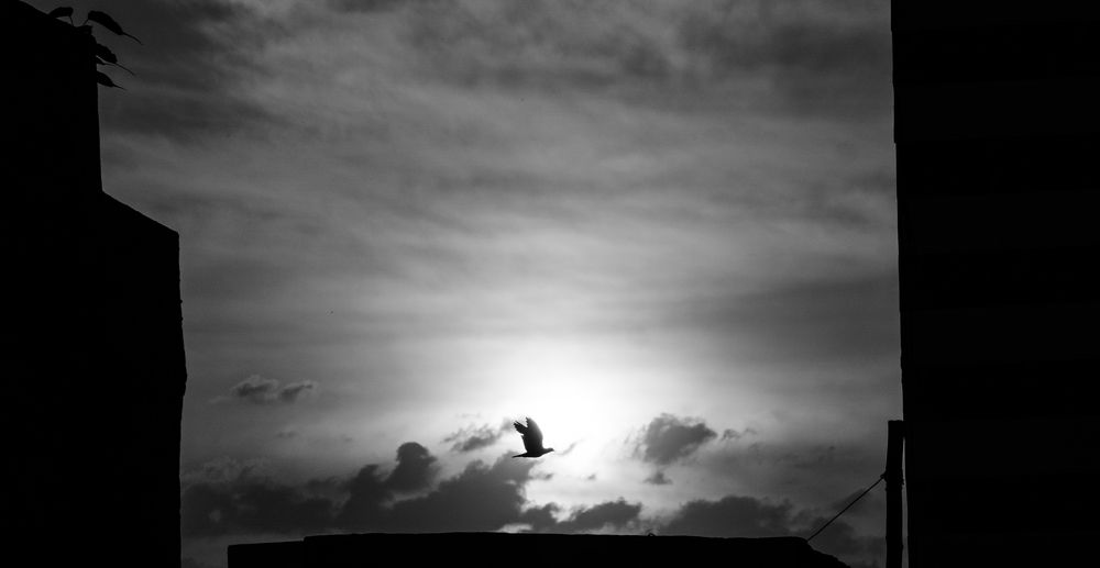 Фотография автора Anuj Medhavi