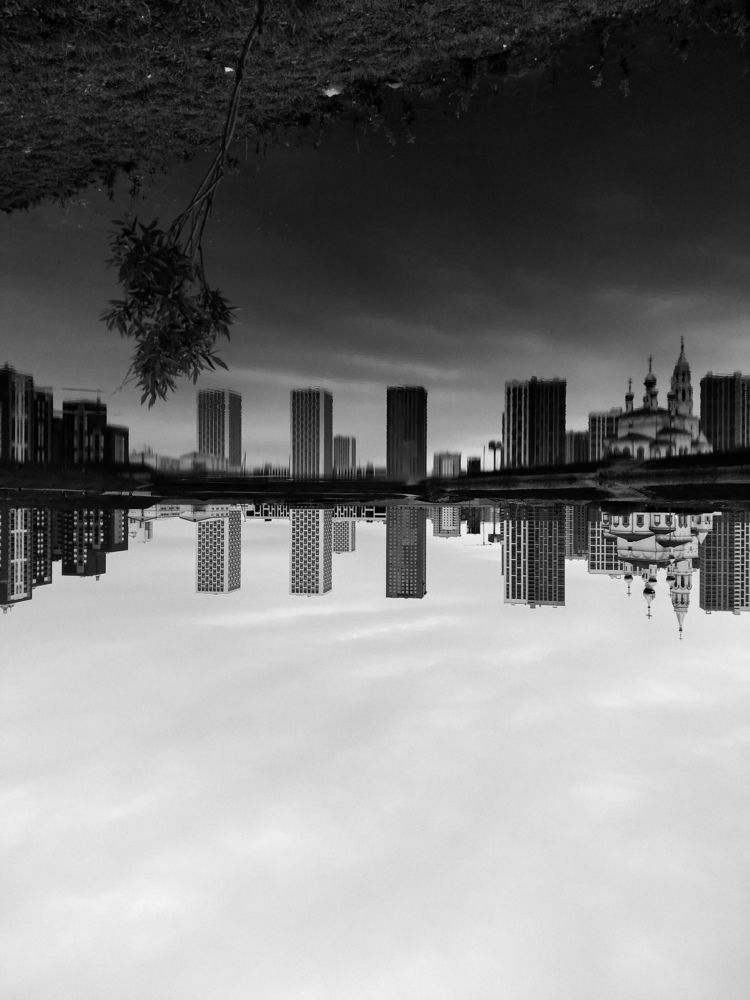 Photo #5825564