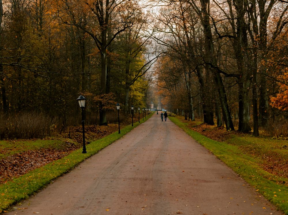 Photograph by Шутов Владимир