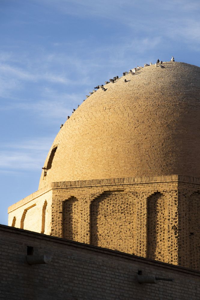 Photograph by Fateme Farnam