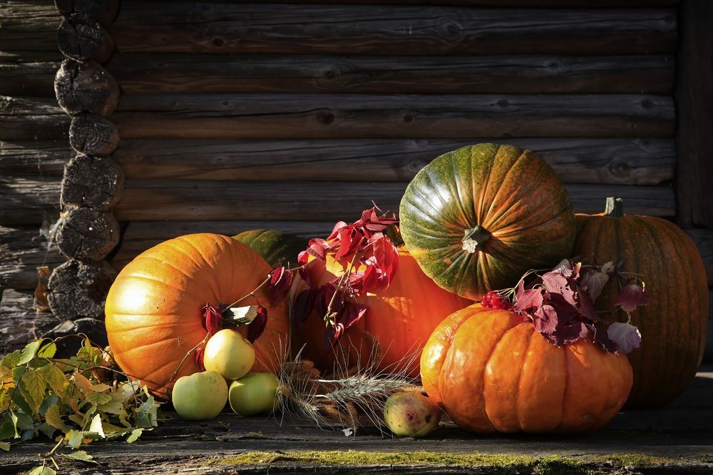 Осень, урожай