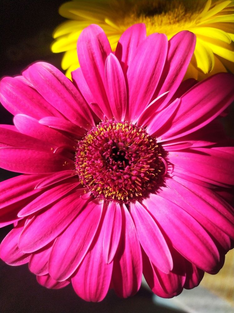 Photograph by Алёна Монахова