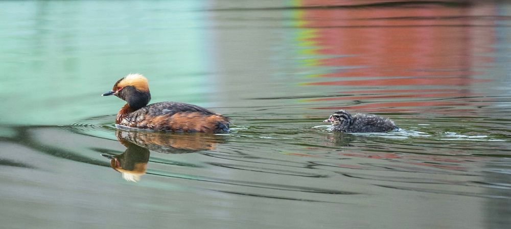 Не отставай!