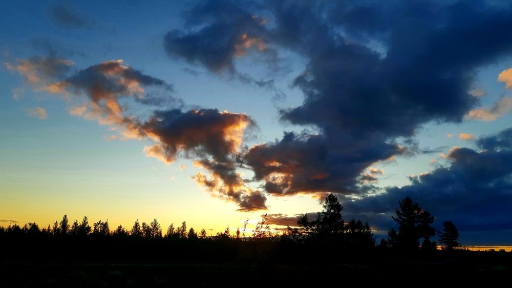 Photograph by Ангелина