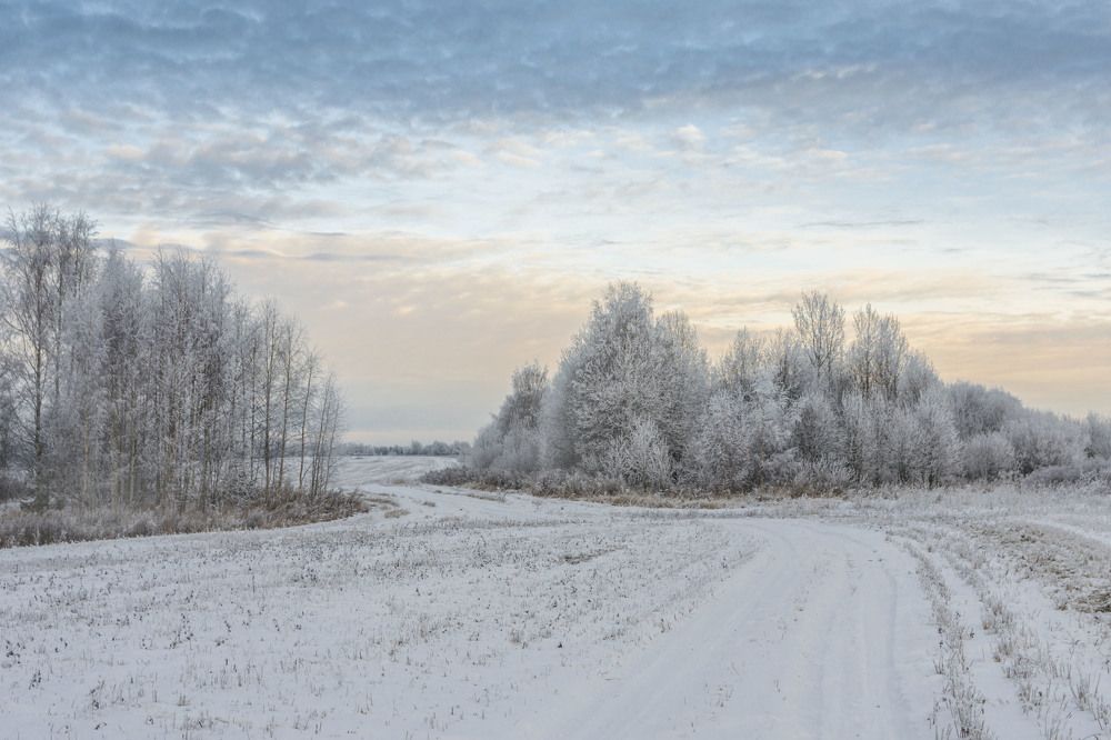 Декабрьский денек