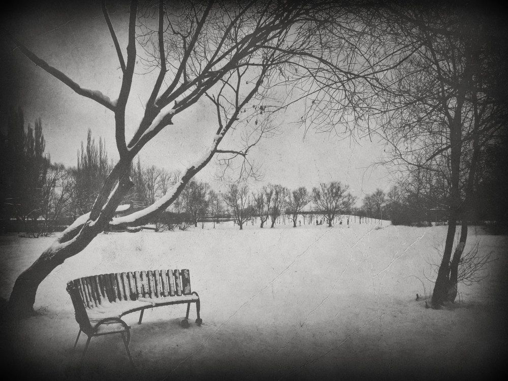 В ЗИМНЕМ ПАРКЕ