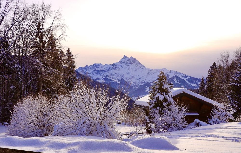 Photograph by Малика Маткарим