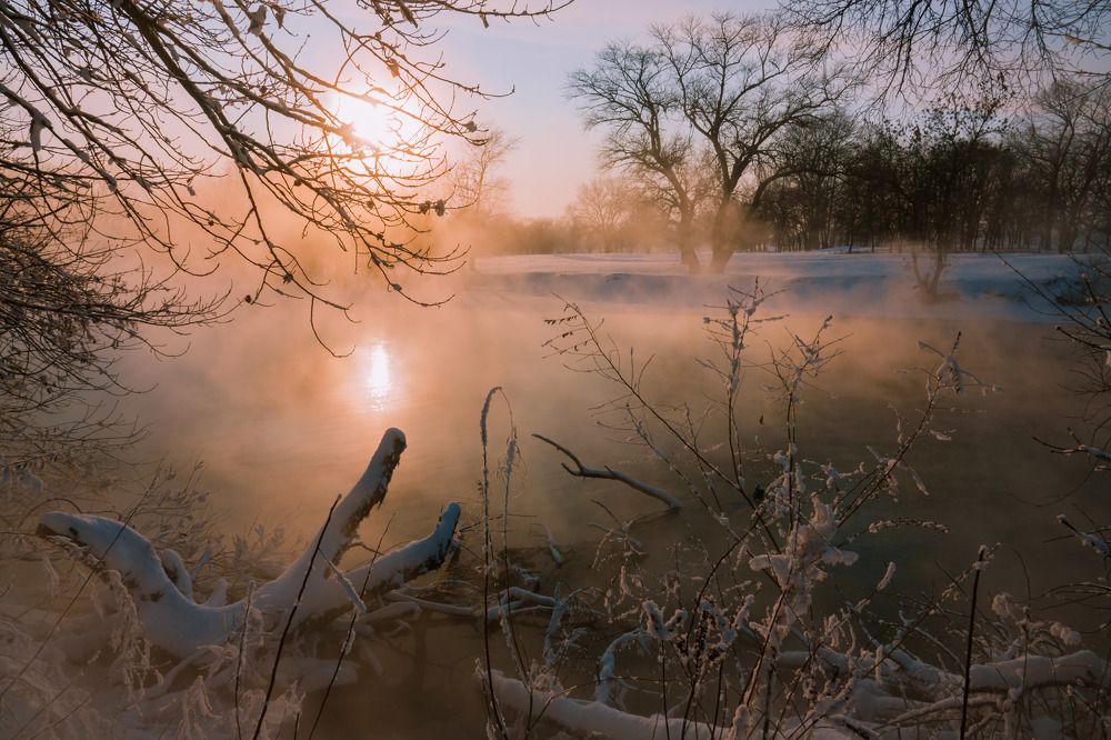 Туман над водой