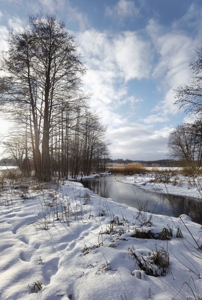 Зимняя соната