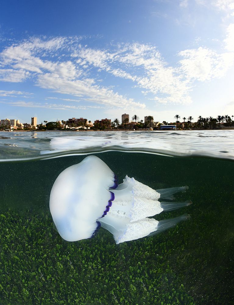 Photograph by Jose Salmeron