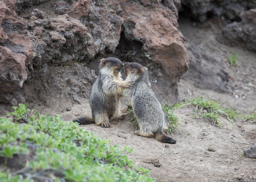 Photograph by Надежда Хаустова