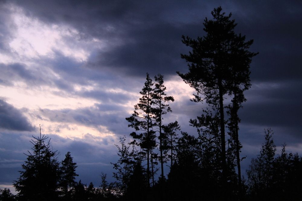 Photograph by 