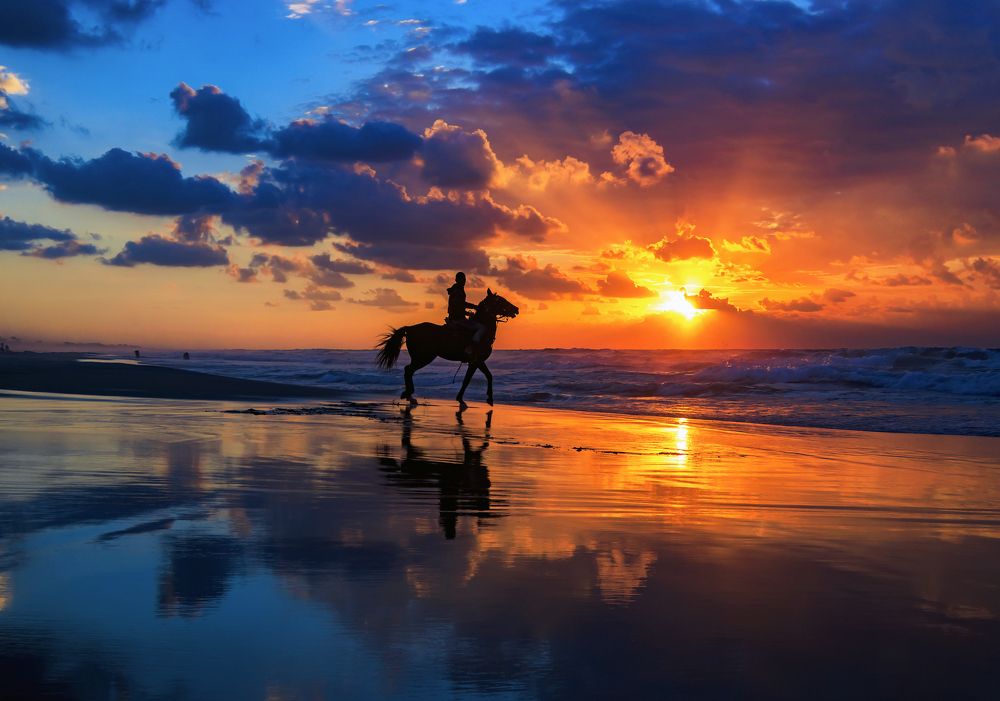 Photograph by Fathi Ibrahim