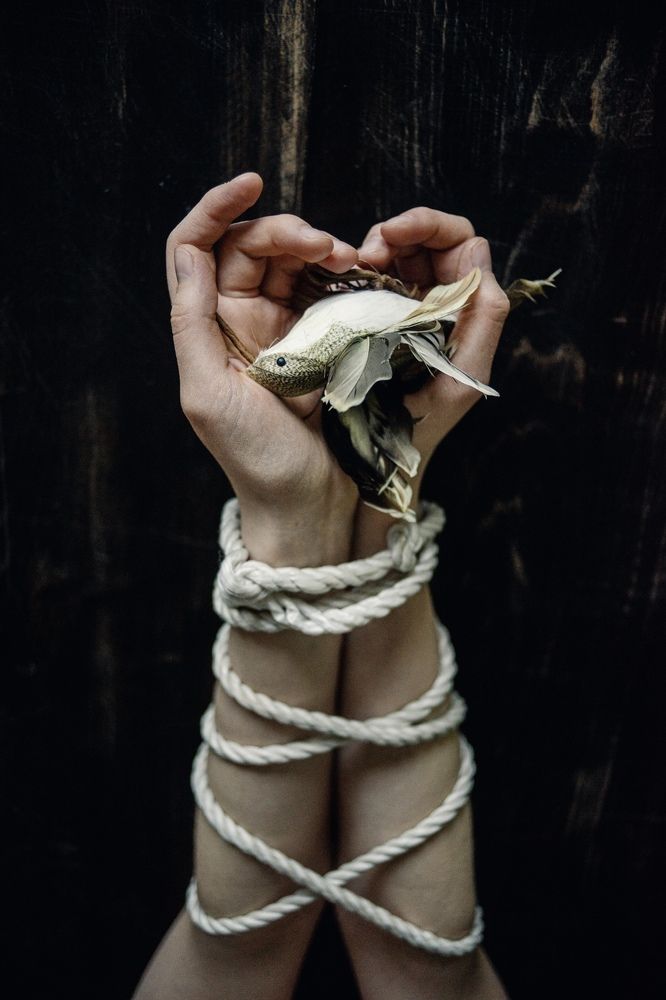 Photograph by Irina Tischer