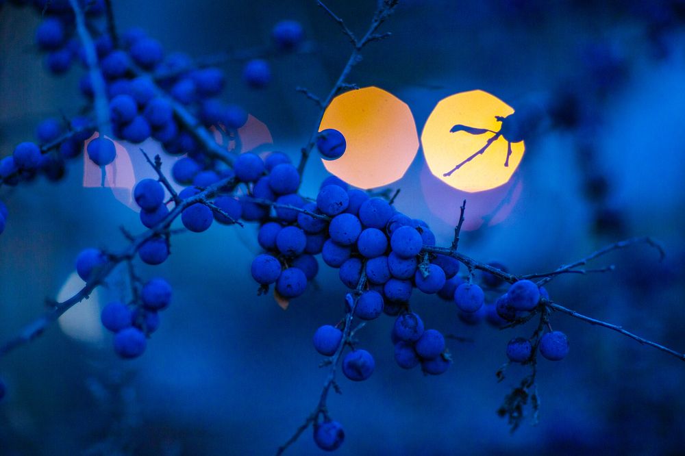 Photograph by Irina Moser