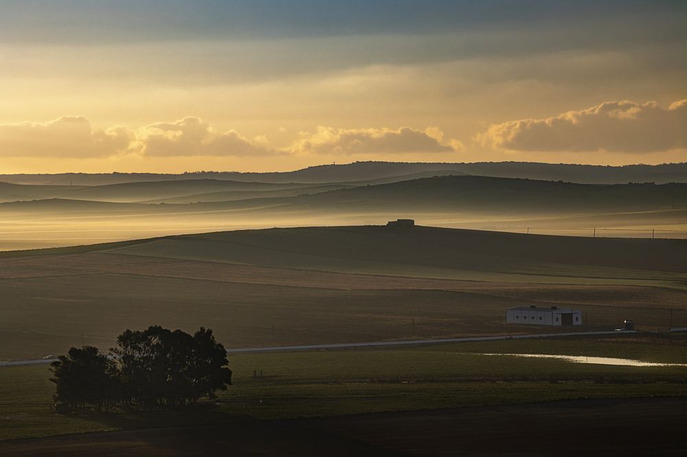 Campos de Andalucía Spain