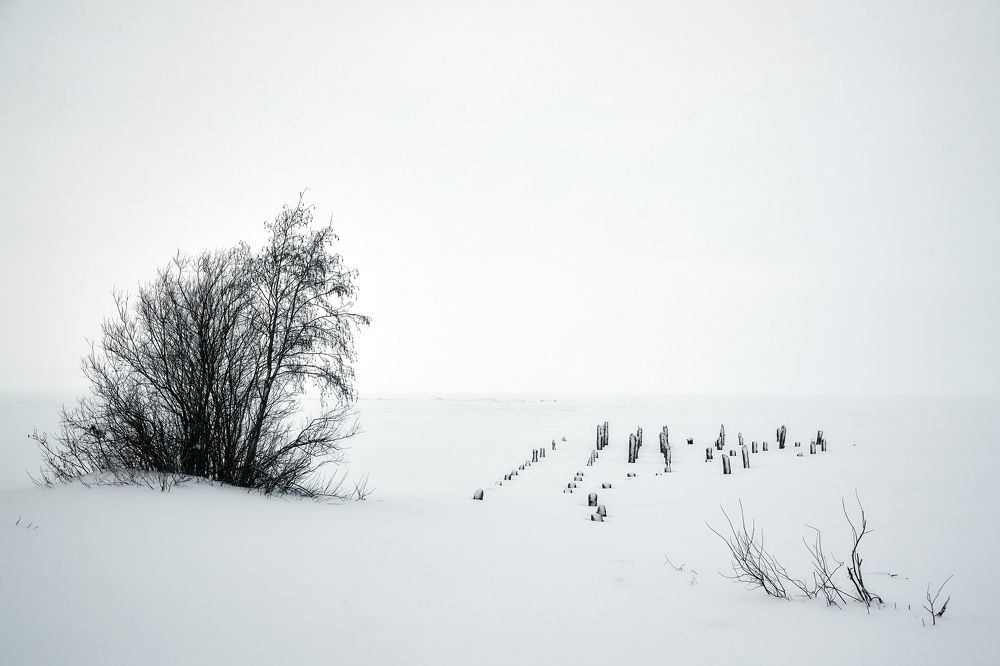 Белое безмолвие