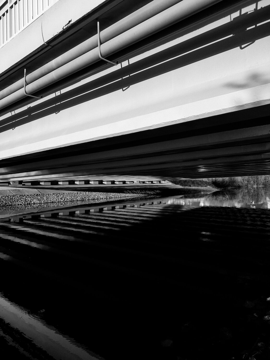 Photo #5826002
