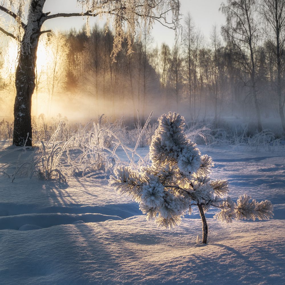 Photograph by Константин Гончаров