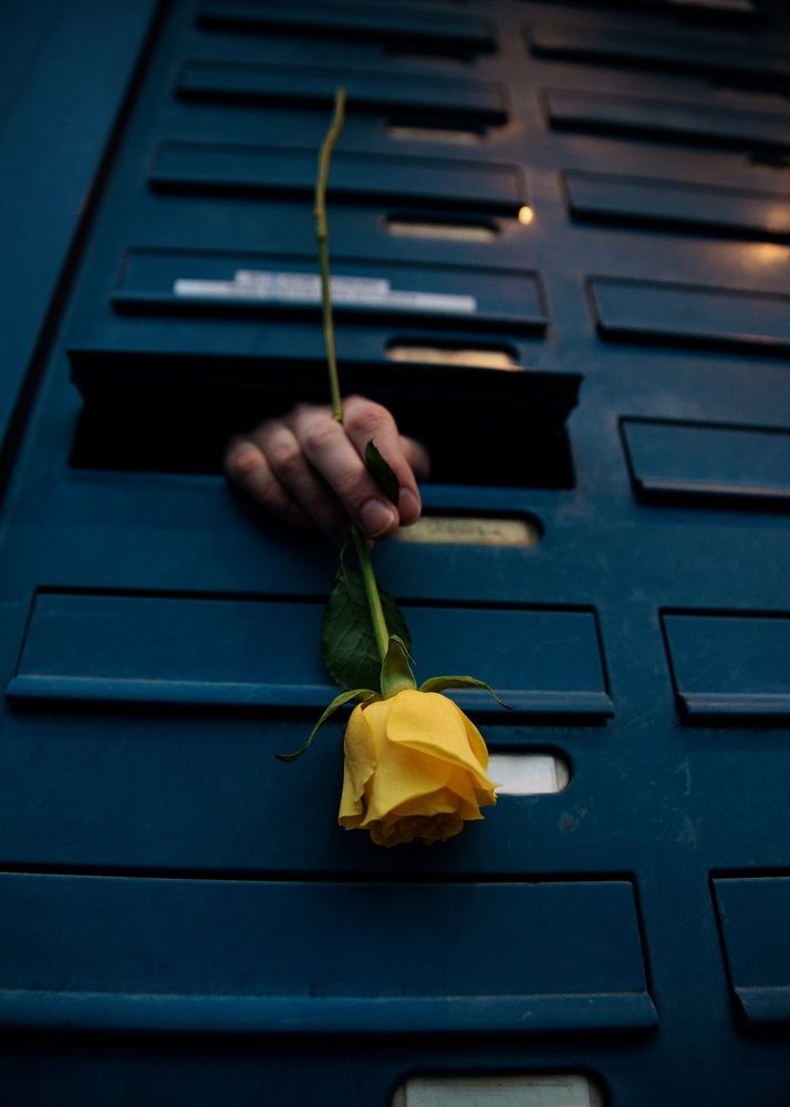 Photograph by Irina Tischer