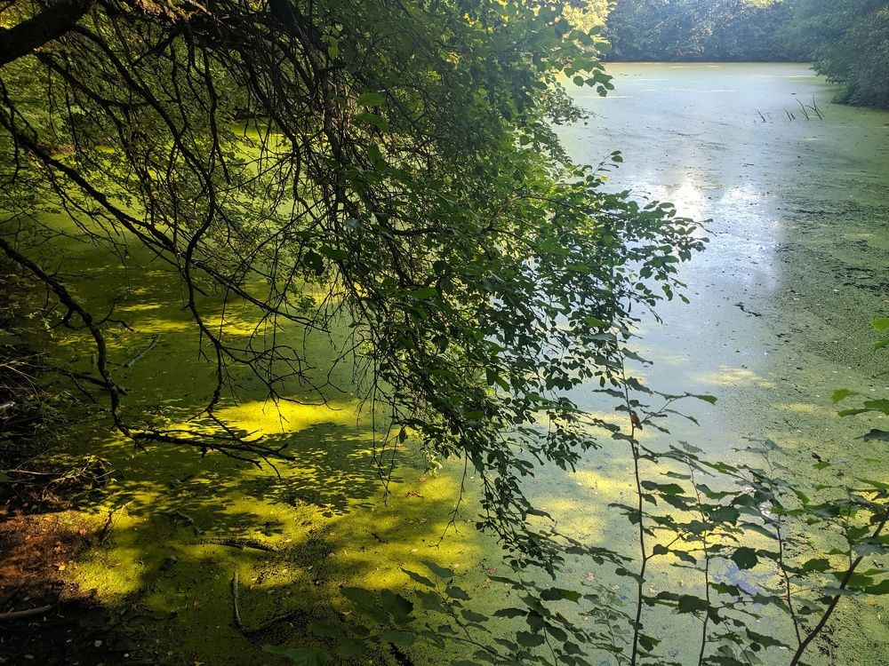 Photograph by Александр Казанцев